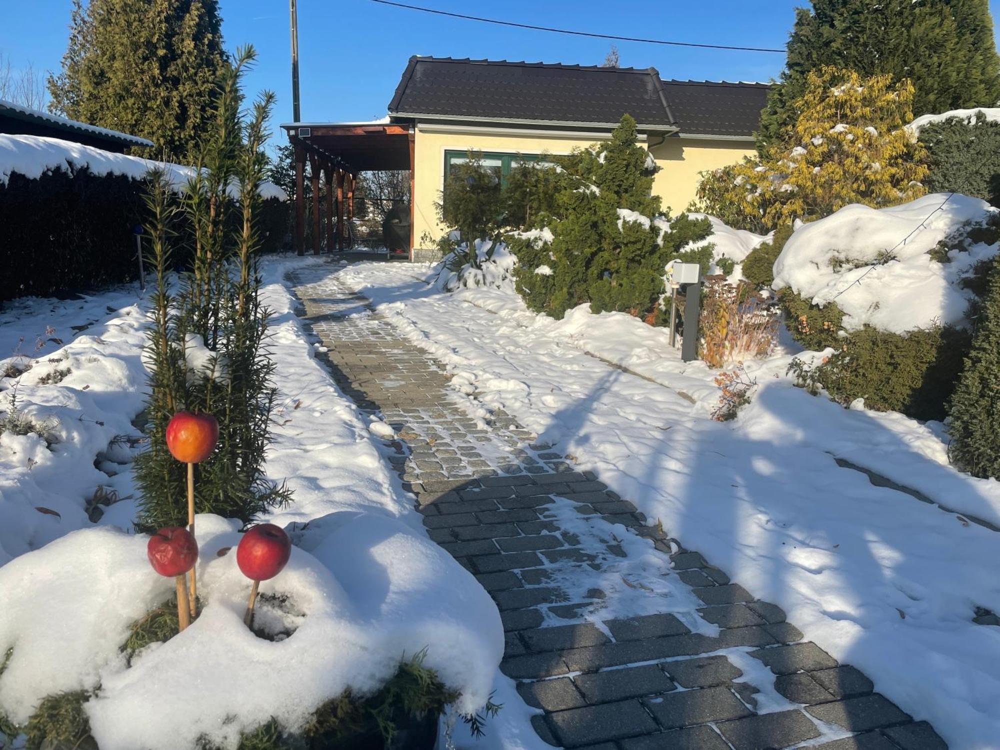 Ferienhaus Amare Mit Fasssauna, Eigener Terrasse & Kamin Bautzen Exteriör bild